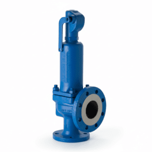 Safety Valves for Oil & Gas Industry | Pressure Protection Components